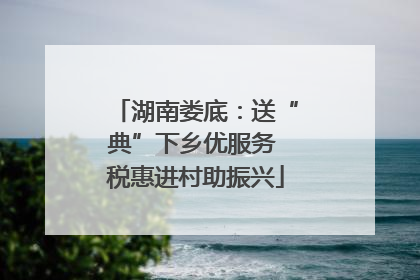 湖南娄底：送“典”下乡优服务 税惠进村助振兴