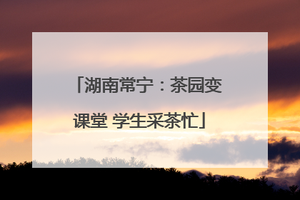 湖南常宁：茶园变课堂 学生采茶忙