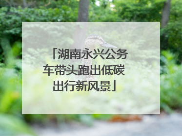 湖南永兴公务车带头跑出低碳出行新风景
