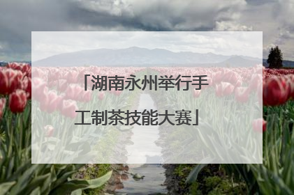 湖南永州举行手工制茶技能大赛