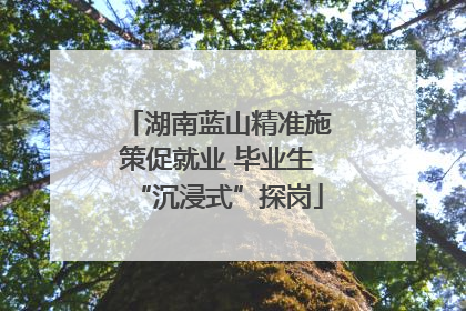 湖南蓝山精准施策促就业 毕业生“沉浸式”探岗