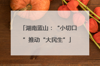 湖南蓝山：“小切口”推动“大民生”