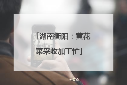 湖南衡阳：黄花菜采收加工忙
