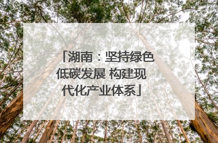 湖南：坚持绿色低碳发展 构建现代化产业体系