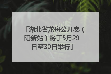 湖北省龙舟公开赛（阳新站）将于5月29日至30日举行