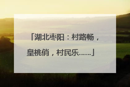湖北枣阳：村路畅，皇桃俏，村民乐……
