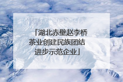 湖北赤壁赵李桥茶业创建民族团结进步示范企业