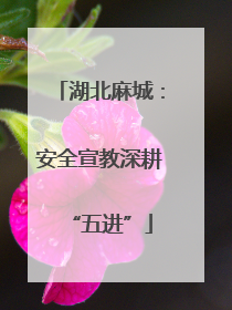 湖北麻城：安全宣教深耕“五进”