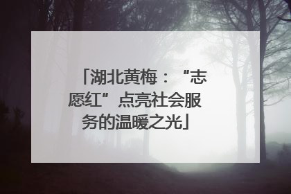 湖北黄梅：“志愿红”点亮社会服务的温暖之光