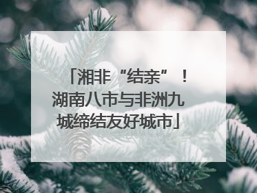湘非“结亲”！湖南八市与非洲九城缔结友好城市