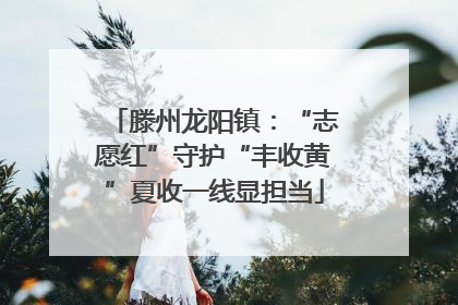 滕州龙阳镇：“志愿红”守护“丰收黄”夏收一线显担当