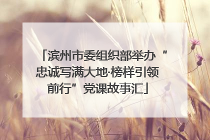 滨州市委组织部举办“忠诚写满大地·榜样引领前行”党课故事汇