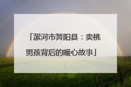 漯河市舞阳县：卖桃男孩背后的暖心故事