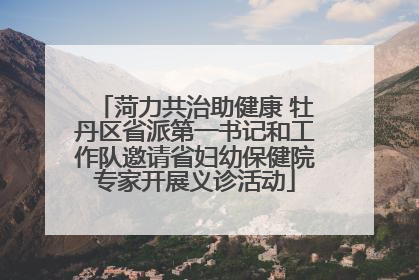 菏力共治助健康 牡丹区省派第一书记和工作队邀请省妇幼保健院专家开展义诊活动
