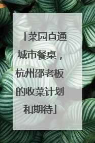 菜园直通城市餐桌，杭州邵老板的收菜计划和期待