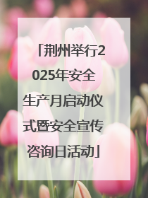荆州举行2025年安全生产月启动仪式暨安全宣传咨询日活动