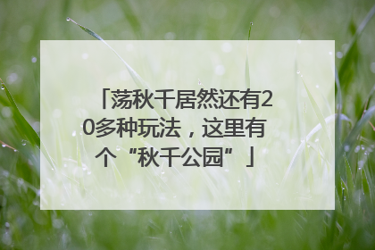 荡秋千居然还有20多种玩法，这里有个“秋千公园”