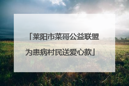 莱阳市菜哥公益联盟为患病村民送爱心款