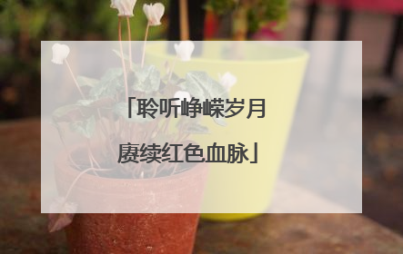 聆听峥嵘岁月 赓续红色血脉