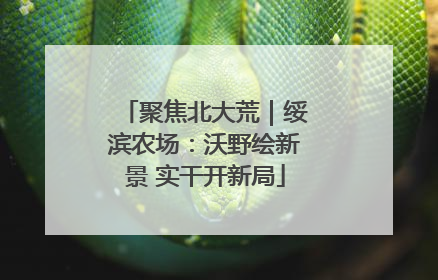 聚焦北大荒｜绥滨农场：沃野绘新景 实干开新局
