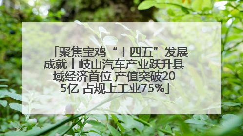 聚焦宝鸡“十四五”发展成就丨岐山汽车产业跃升县域经济首位 产值突破205亿 占规上工业75%