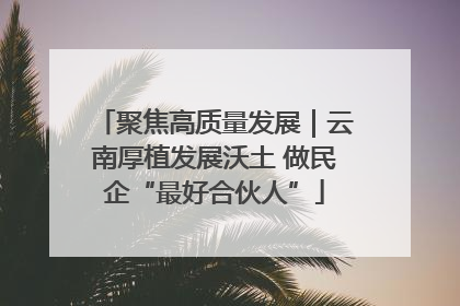 聚焦高质量发展｜云南厚植发展沃土 做民企“最好合伙人”