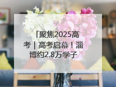 聚焦2025高考｜高考启幕！淄博约2.8万学子奔赴逐梦考场