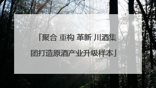 聚合 重构 革新 川酒集团打造原酒产业升级样本