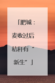 肥城：麦收过后秸秆有“新生”