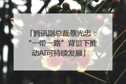 腾讯副总裁蔡光忠：“一带一路”背景下推动AI可持续发展