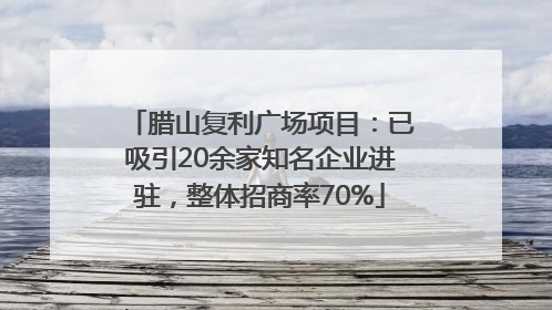 腊山复利广场项目：已吸引20余家知名企业进驻，整体招商率70%