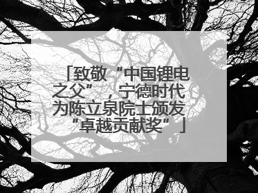 致敬“中国锂电之父”，宁德时代为陈立泉院士颁发“卓越贡献奖”