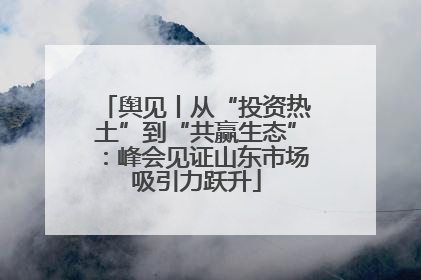舆见丨从“投资热土”到“共赢生态”：峰会见证山东市场吸引力跃升