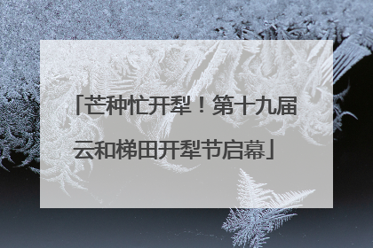 芒种忙开犁！第十九届云和梯田开犁节启幕
