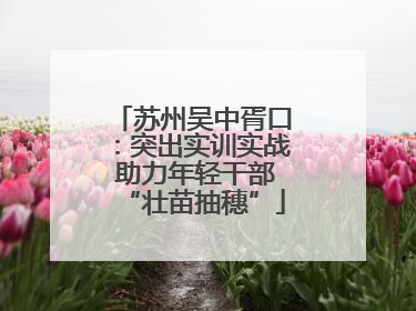 苏州吴中胥口：突出实训实战 助力年轻干部“壮苗抽穗”