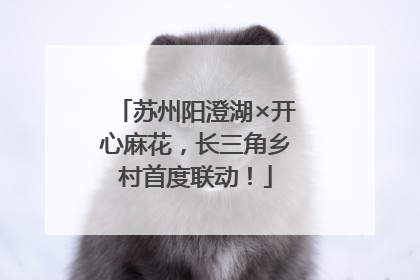 苏州阳澄湖×开心麻花，长三角乡村首度联动！