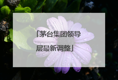 茅台集团领导层最新调整