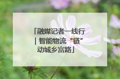 融媒记者一线行｜智能物流“链”动城乡富路