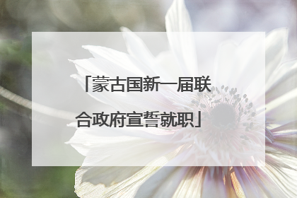 蒙古国新一届联合政府宣誓就职