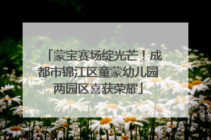 蒙宝赛场绽光芒！成都市锦江区童蒙幼儿园两园区喜获荣耀