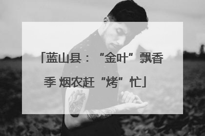 蓝山县：“金叶”飘香季 烟农赶“烤”忙
