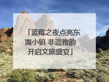 蓝莓之夜点亮东夷小镇 非遗雅韵开启文旅盛宴