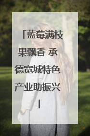 蓝莓满枝果飘香 承德宽城特色产业助振兴