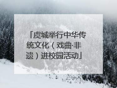 虞城举行中华传统文化（戏曲·非遗）进校园活动