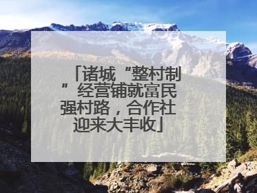诸城“整村制”经营铺就富民强村路，合作社迎来大丰收