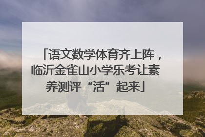 语文数学体育齐上阵，临沂金雀山小学乐考让素养测评“活”起来