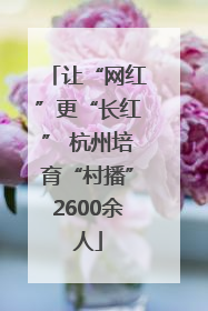 让“网红”更“长红” 杭州培育“村播”2600余人
