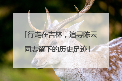 行走在吉林，追寻陈云同志留下的历史足迹