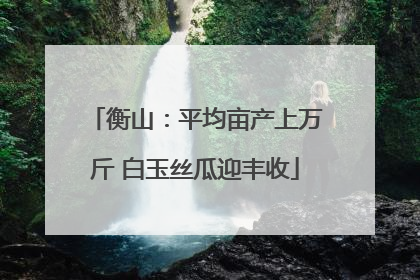 衡山：平均亩产上万斤 白玉丝瓜迎丰收