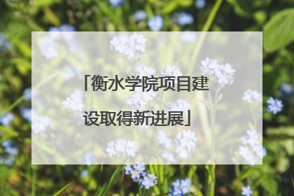 衡水学院项目建设取得新进展